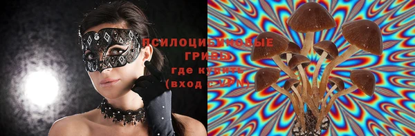 крисы Алзамай
