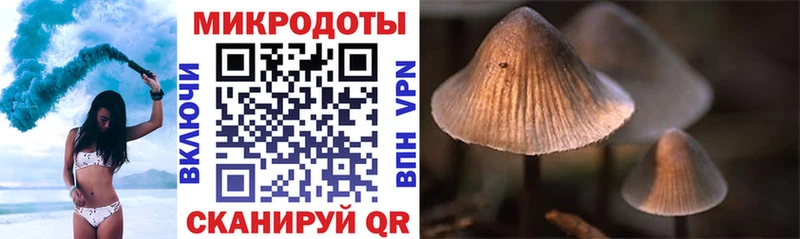 Псилоцибиновые грибы MAGIC MUSHROOMS  цены   Котлас 